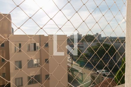 Apartamento para alugar com 3 quartos, 80m² em Paquetá, Belo Horizonte
