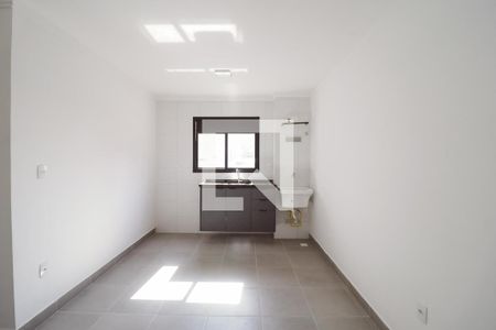 Sala/Cozinha de apartamento para alugar com 1 quarto, 31m² em Vila Dom Pedro Ii, São Paulo