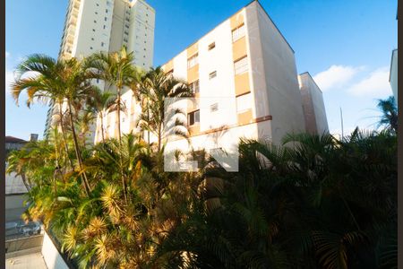 Vista do Quarto 2 de apartamento à venda com 2 quartos, 69m² em Vila Santa Catarina, São Paulo