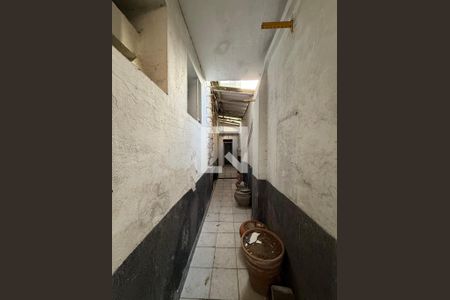 Casa para alugar com 3 quartos, 300m² em Higienópolis, São Paulo