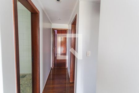 Corredor de apartamento para alugar com 3 quartos, 164m² em Fernão Dias, Belo Horizonte