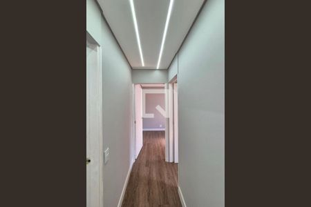 Corredor  de apartamento para alugar com 2 quartos, 54m² em Jardim Dom Vieira, Campinas
