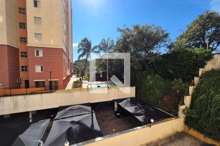 Vista da Varanda  de apartamento para alugar com 2 quartos, 54m² em Jardim Dom Vieira, Campinas