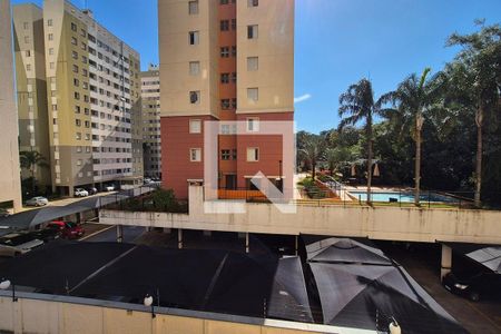 Vista do Quarto 1  de apartamento para alugar com 2 quartos, 54m² em Jardim Dom Vieira, Campinas