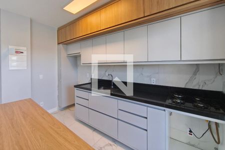 Cozinha de apartamento para alugar com 2 quartos, 62m² em Parque Prado, Campinas