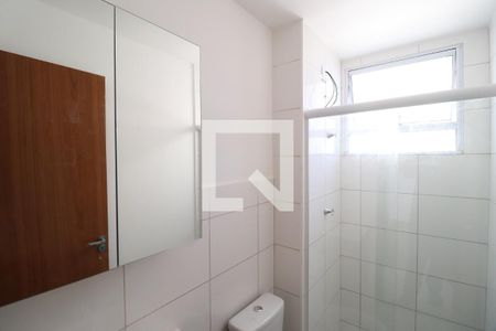 Banheiro Social de apartamento para alugar com 2 quartos, 55m² em Shopping Park, Uberlândia