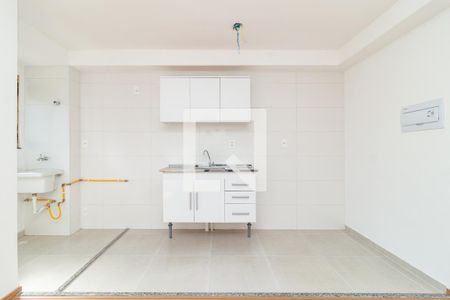 Cozinha e Área de Serviço de apartamento para alugar com 2 quartos, 44m² em Vila Gustavo, São Paulo