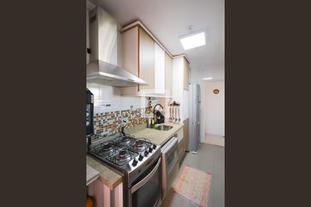 Cozinha de apartamento à venda com 3 quartos, 67m² em Jardim Ubirajara, São Paulo