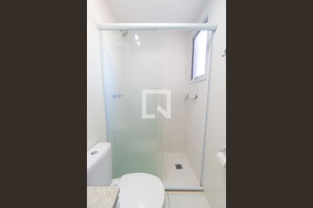 Banheiro da Suíte de apartamento para alugar com 2 quartos, 63m² em Vila Santa Catarina, São Paulo
