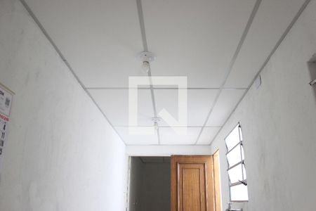 Cozinha  de casa para alugar com 1 quarto, 40m² em Jardim Ponte Alta I, Guarulhos