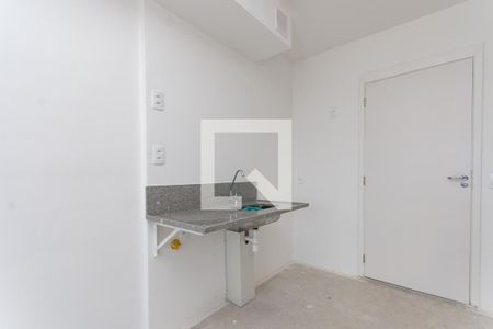 Cozinha Americana de apartamento para alugar com 2 quartos, 41m² em Lapa de Baixo, São Paulo