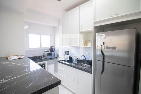 Cozinha/Área de serviço de apartamento para alugar com 2 quartos, 58m² em Vila Sao Vicente, São Paulo