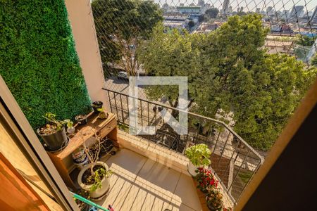 Apartamento à venda com 2 quartos, 60m² em Vila Santa Catarina, São Paulo