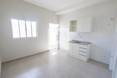 Sala / cozinha americana de apartamento para alugar com 1 quarto, 29m² em São Gabriel, Belo Horizonte