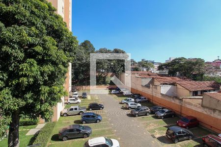 Quarto 1 de apartamento para alugar com 3 quartos, 67m² em Vila Butantã, São Paulo
