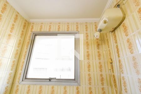 Banheiro de apartamento para alugar com 1 quarto, 57m² em Cambuci, São Paulo