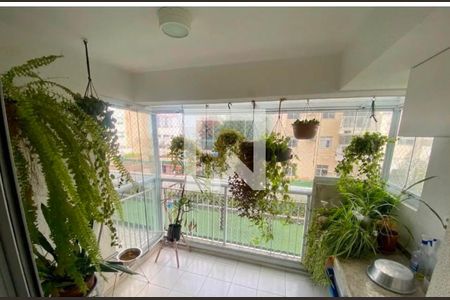 Varanda da Sala/cozinha de apartamento à venda com 3 quartos, 81m² em Alto do Pari, São Paulo