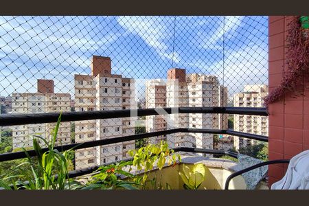 Apartamento à venda com 3 quartos, 76m² em Jardim Iris, São Paulo