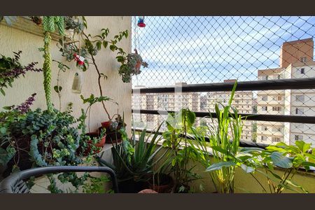 Apartamento à venda com 3 quartos, 76m² em Jardim Iris, São Paulo