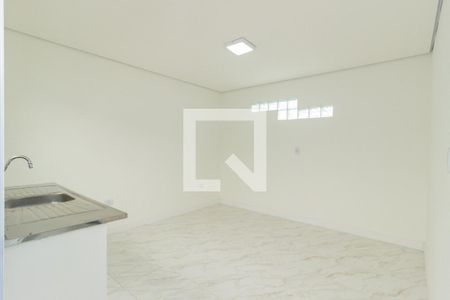 Cozinha de casa para alugar com 1 quarto, 45m² em Vila America, São Paulo