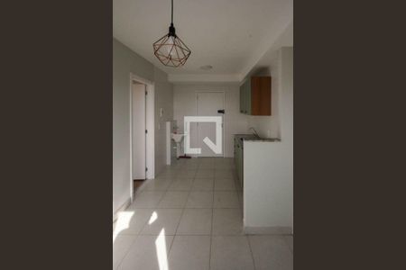 Cozinha e Área de Serviço de apartamento para alugar com 1 quarto, 27m² em Jardim Planalto, São Paulo