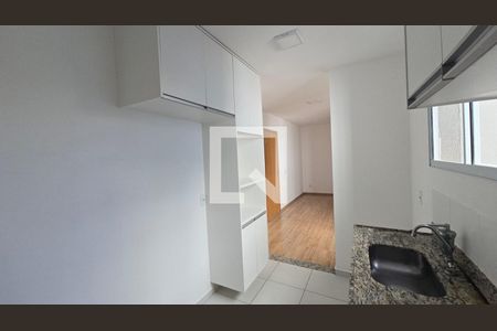Cozinha de apartamento para alugar com 2 quartos, 55m² em Colégio Batista, Belo Horizonte