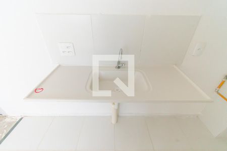 Cozinha de apartamento para alugar com 2 quartos, 32m² em Quinta da Paineira, São Paulo