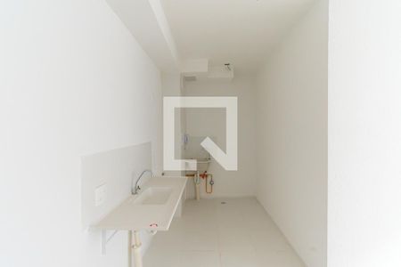Cozinha de apartamento para alugar com 2 quartos, 32m² em Quinta da Paineira, São Paulo