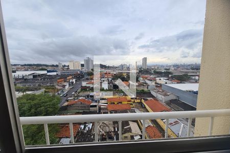 Sala de apartamento para alugar com 2 quartos, 52m² em Vila Antonieta, São Paulo