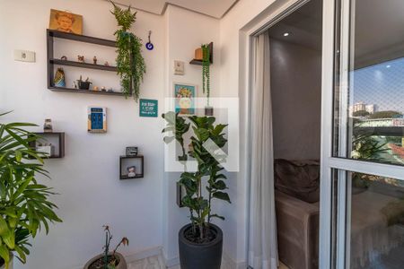 Varanda da Sala de apartamento para alugar com 3 quartos, 72m² em Parque Mandaqui, São Paulo