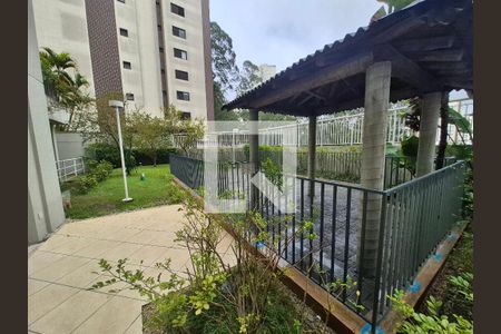 Espaço Pet de apartamento para alugar com 1 quarto, 38m² em Vila Andrade, São Paulo