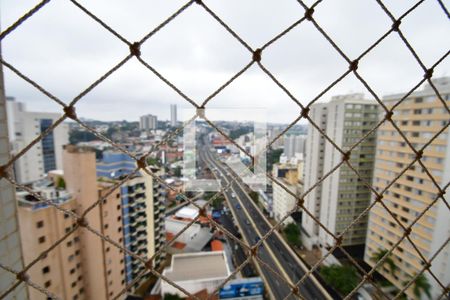 Quarto 1 - Vista de apartamento para alugar com 3 quartos, 152m² em Cambuí, Campinas