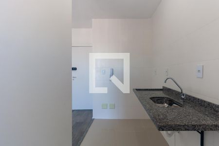 Cozinha de apartamento para alugar com 1 quarto, 41m² em Jardim Avelino, São Paulo