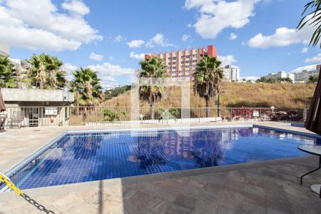 Área comum - Piscina de apartamento à venda com 2 quartos, 55m² em Cabral, Contagem