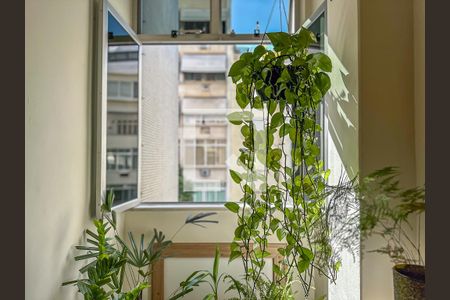 Apartamento à venda com 2 quartos, 57m² em Laranjeiras, Rio de Janeiro