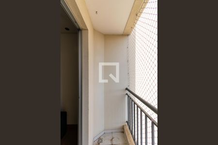 Varanda da Sala de apartamento para alugar com 2 quartos, 49m² em Quinta da Paineira, São Paulo