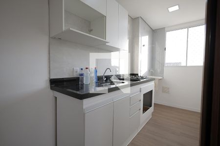 Cozinha de apartamento para alugar com 2 quartos, 38m² em Parque das Nações, Santo André