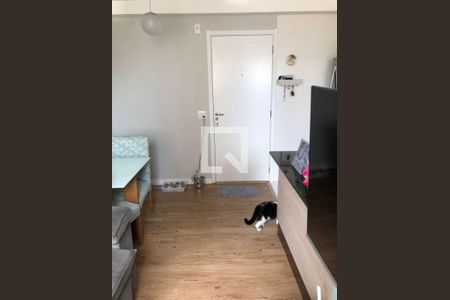 Apartamento à venda com 2 quartos, 40m² em Cambuci, São Paulo