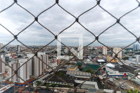 Vista da varanda de apartamento para alugar com 2 quartos, 78m² em Jardim Pereira Leite, São Paulo