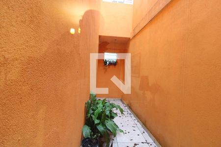 jardim de inverno da sala de casa à venda com 3 quartos, 120m² em Vila Nhocuné, São Paulo