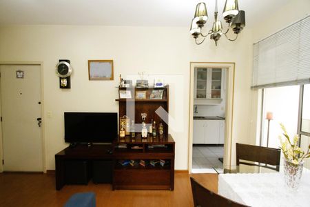 Sala de apartamento à venda com 2 quartos, 52m² em Buritis, Belo Horizonte