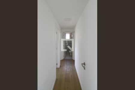 Corredor de apartamento para alugar com 3 quartos, 88m² em São Lucas, Belo Horizonte