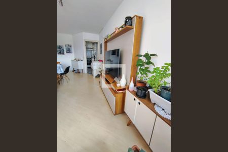 Apartamento à venda com 3 quartos, 77m² em Cambuci, São Paulo