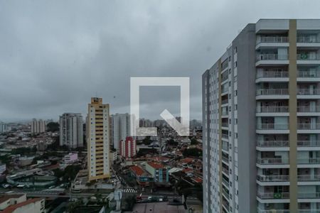 Apartamento para alugar com 3 quartos, 98m² em Baeta Neves, São Bernardo do Campo