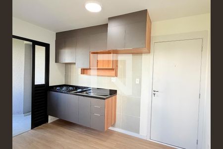Cozinha de apartamento para alugar com 2 quartos, 55m² em Jardim São Luís, São Paulo