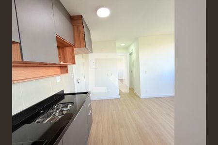 Cozinha de apartamento para alugar com 2 quartos, 55m² em Jardim São Luís, São Paulo