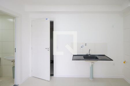 Cozinha de apartamento para alugar com 2 quartos, 33m² em Usina Piratininga, São Paulo