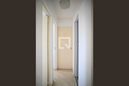 Corredor de apartamento para alugar com 3 quartos, 65m² em Vila Moraes, São Paulo