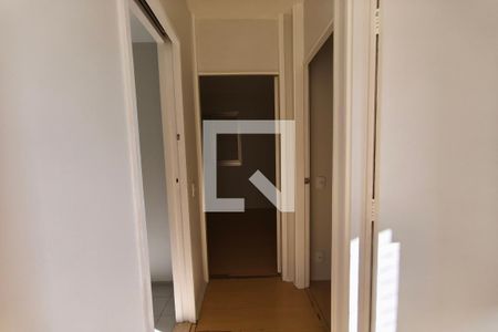 Corredor - Quartos de apartamento à venda com 3 quartos, 58m² em Parque Italia, Campinas