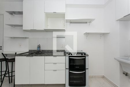 Cozinha de apartamento para alugar com 2 quartos, 33m² em Cidade Mãe do Céu, São Paulo